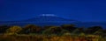 Panoramic, night scenery of Mount Kilimanjaro, snow capped highest african mountain, lit by full moon against deep blue night sky