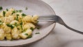 Panoramic orientation Mediterranean gnocchi, prepared with potato and flour dough with cream sauce and parsley, pricked