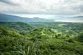 Panoramic overlooking view of green tropical vegetation