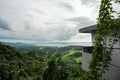 Panoramic overlooking view of green tropical vegetation