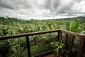 Panoramic overlooking view of green tropical vegetation