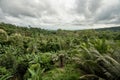 Panoramic overlooking view of green tropical vegetation