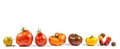 Panoramic Panning of heirloom tomatoes on black background Royalty Free Stock Photo