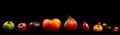 Panoramic Panning of heirloom tomatoes on black background Royalty Free Stock Photo