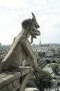 Panoramic of Paris with Gargoyle Royalty Free Stock Photo