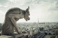 Panoramic of Paris with Gargoyle Royalty Free Stock Photo