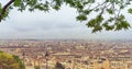 Panoramic Paris Skyline