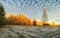 Panoramic photo of a beautiful autumn morning in the forest. golden birches in the sunny dawn sun and grass in hoa