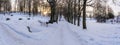 Panoramic Photo of an Empty Walkway in Park in Alley on Sunny Winter Evening