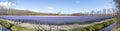 Panoramic photo of a huge field of purple hyacinths with yellow daffodils in the background on the bulb fields around Lisse Royalty Free Stock Photo