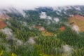 Panoramic photo over the tops of pine or fir forest with small clouds. Aerial top view forest. Misty foggy mountain landscape with Royalty Free Stock Photo
