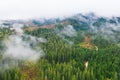 Panoramic photo over the tops of pine or fir forest with small clouds. Aerial top view forest. Misty foggy mountain landscape with Royalty Free Stock Photo