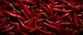 Pile of red chilli peppers. Panoramic background.