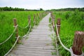 A small wooden bridge over a river in the wild and plants on the shore Royalty Free Stock Photo