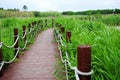 A small wooden bridge over a river in the wild and plants on the shore Royalty Free Stock Photo