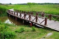 A small wooden bridge over a river in the wild and plants on the shore Royalty Free Stock Photo