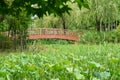 A small wooden bridge over a river in the wild and plants on the shore Royalty Free Stock Photo