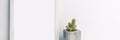 Panoramic photo of a white mockup frame with a cactus in a concrete pot