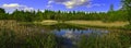 Panoramic photography picturesque pond against a beautiful sky