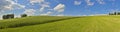 Panoramic picture with corn field and blue sky Royalty Free Stock Photo