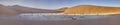 Panoramic picture of the Deadvlei salt pan in the Namib Desert with dead trees in front of red sand dunes in the morning light Royalty Free Stock Photo