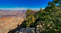 Panoramic Desert Tower View Point in Grand Canyon Arizona Royalty Free Stock Photo