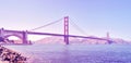 Panoramic picture of the Golden Gate Bridge, USA. Royalty Free Stock Photo