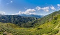 Panoramic picture from the Taiwanese village Lishan over the imoressive mountain landscape in summer