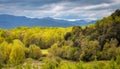 Panoramic picture from valley of Garrotxa Volcanic Zone Natural Park