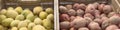 Panoramic pile of red and yellow potatoes variety in plastic crate at market stand in Houston, Texas