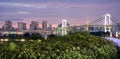 Panoramic Rainbow bridge and Tokyo skyline from Odaiba, Nightview