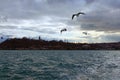 Panoramic romantic view of The Bosporus Bosphorus or Strait of Istanbul and residential buildings of Istanbul.