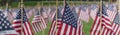 Panoramic row of lawn American flags display on green grass on Memorial Day in Dallas, Texas, USA