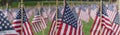 Panoramic row of lawn American flags display on green grass on Memorial Day in Dallas, Texas, USA Royalty Free Stock Photo