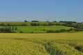 Panoramic rural English summer landscape, Somerset, UK Royalty Free Stock Photo