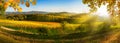 Panoramic rural landscape in autumn