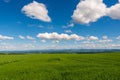 Panoramic rural landscape with idyllic vast green barley fields on hills and trails as lines leading to trees on the horizon, with Royalty Free Stock Photo