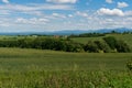 Panoramic rural landscape with idyllic vast green barley fields on hills and trails as lines leading to trees on the horizon, with Royalty Free Stock Photo