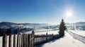Winter rustic view