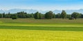 Panoramic scenic Alpine view with fresh spring meadows and snowy mountain peaks