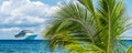 Tropical palm tree on Mexican Island. Cruise ship in the background. Selective focus. Royalty Free Stock Photo
