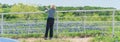 Panoramic senior Caucasian lady taking photo mobile phone of blossom bluebonnet field over fence