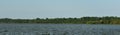 Panoramic Shoreline Percy Priest Lake 3