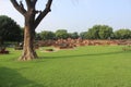 Ancient temple garden in Bikaner,India Royalty Free Stock Photo