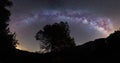 Panoramic shot of the arch of the milky way with pine trees visible on the land