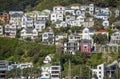 Panoramic shot of a bayfront with expensive houses on Mt. Olives in Wellington New Zealand
