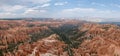 Panoramic shot of Bryce Canyon National Park, a sprawling reserve in southern Utah, United States Royalty Free Stock Photo