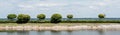 Shot of green leaves on trees near lake against sky with clouds in summer Royalty Free Stock Photo