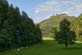 Panoramic shot of heard of sheep grazing on the green meadows with mountains in backdrop. Dramatic aerial view of Royalty Free Stock Photo