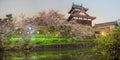 Panoramic shot of Japanese castle with cherry blossoms Royalty Free Stock Photo